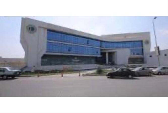 66431382 - Property Image 3