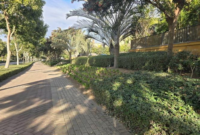 8534305 - صورة العقار 3