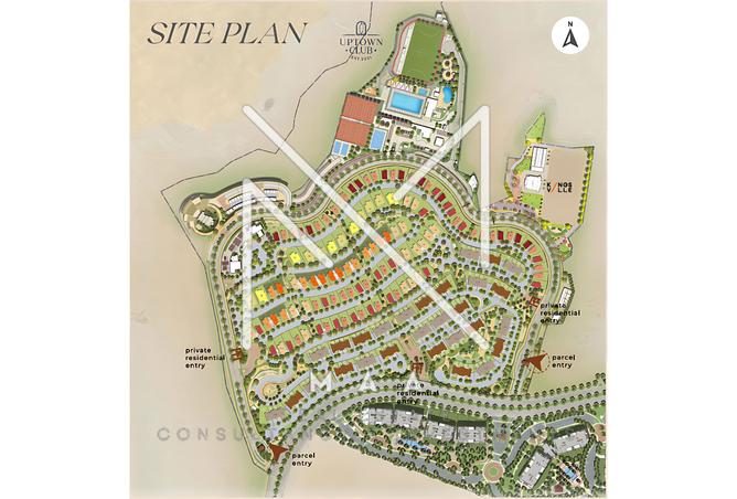 70374981 - Property Image 3