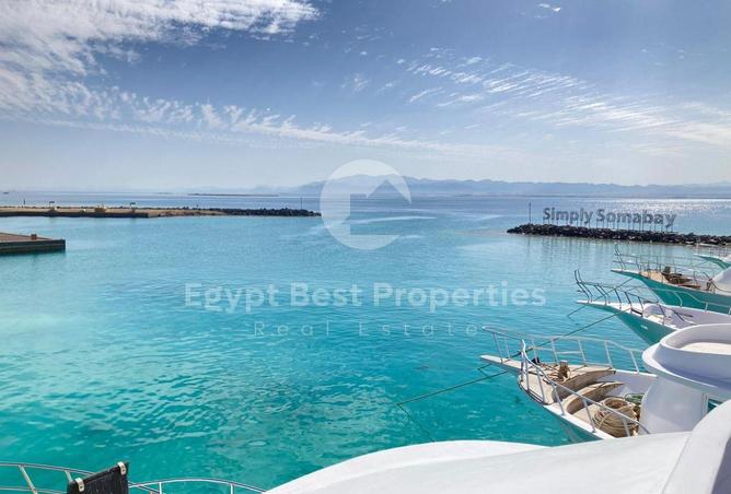 66169652 - Property Image 2