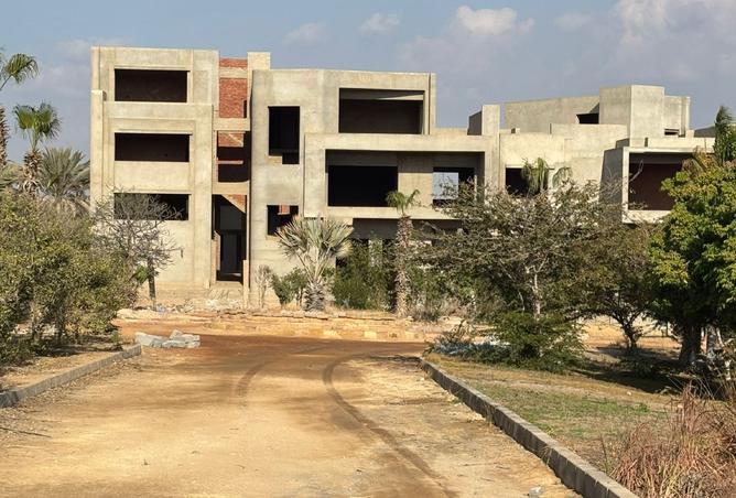 8419525 - الصورة الرئيسية للعقار