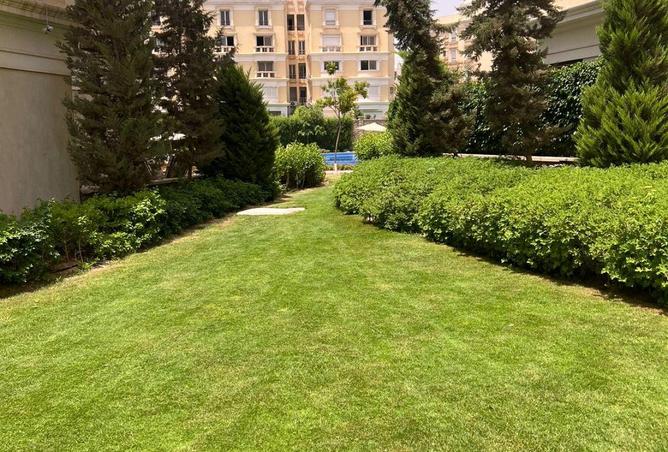 62896576 - Property Image 3