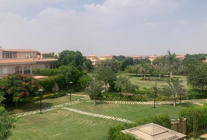 77333999 - صورة العقار 3