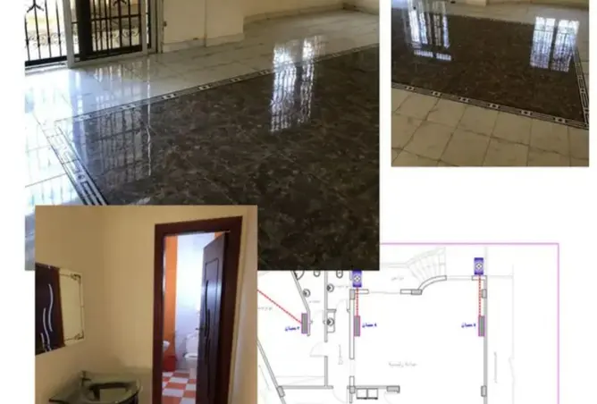 117542599 - Property Image 3