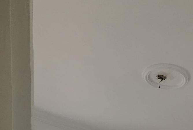 100916536 - صورة العقار 3