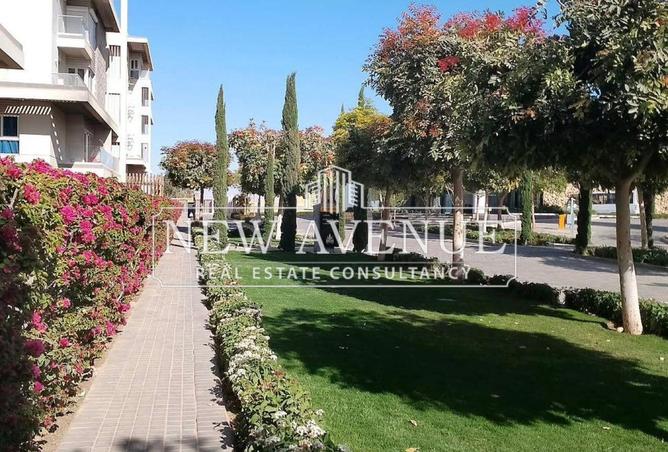 66420963 - Property Image 3