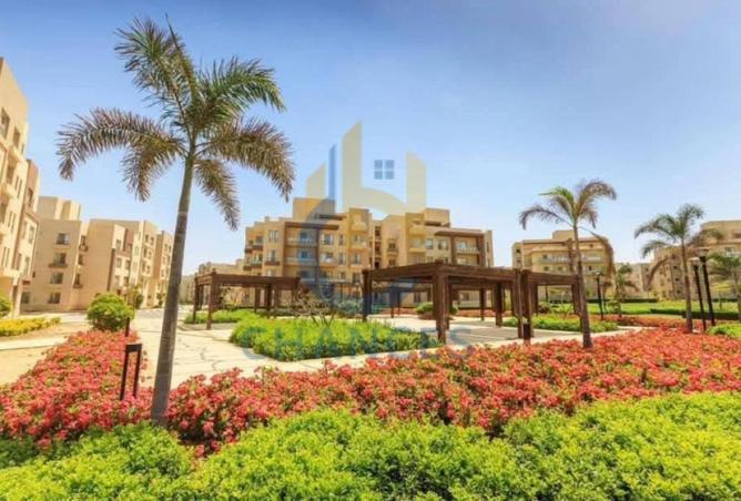 58990763 - الصورة الرئيسية للعقار