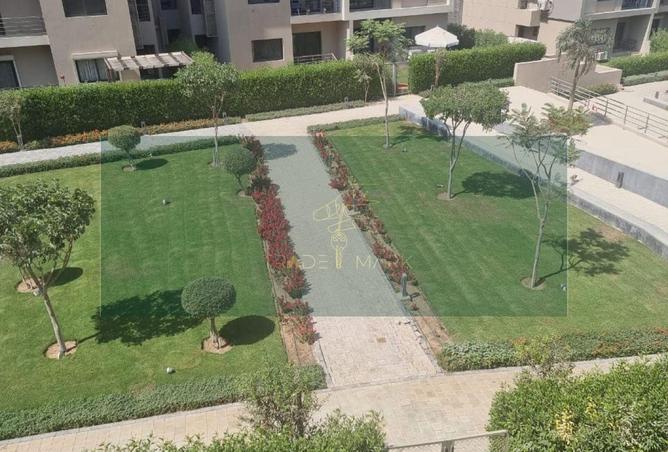 54495979 - صورة العقار 2