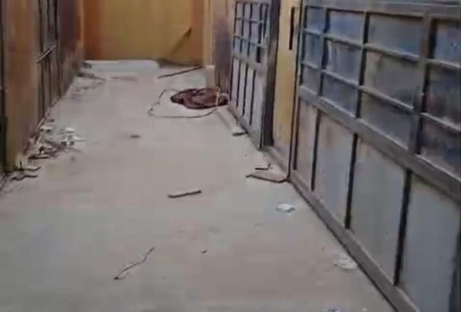 66958532 - Property Image 3