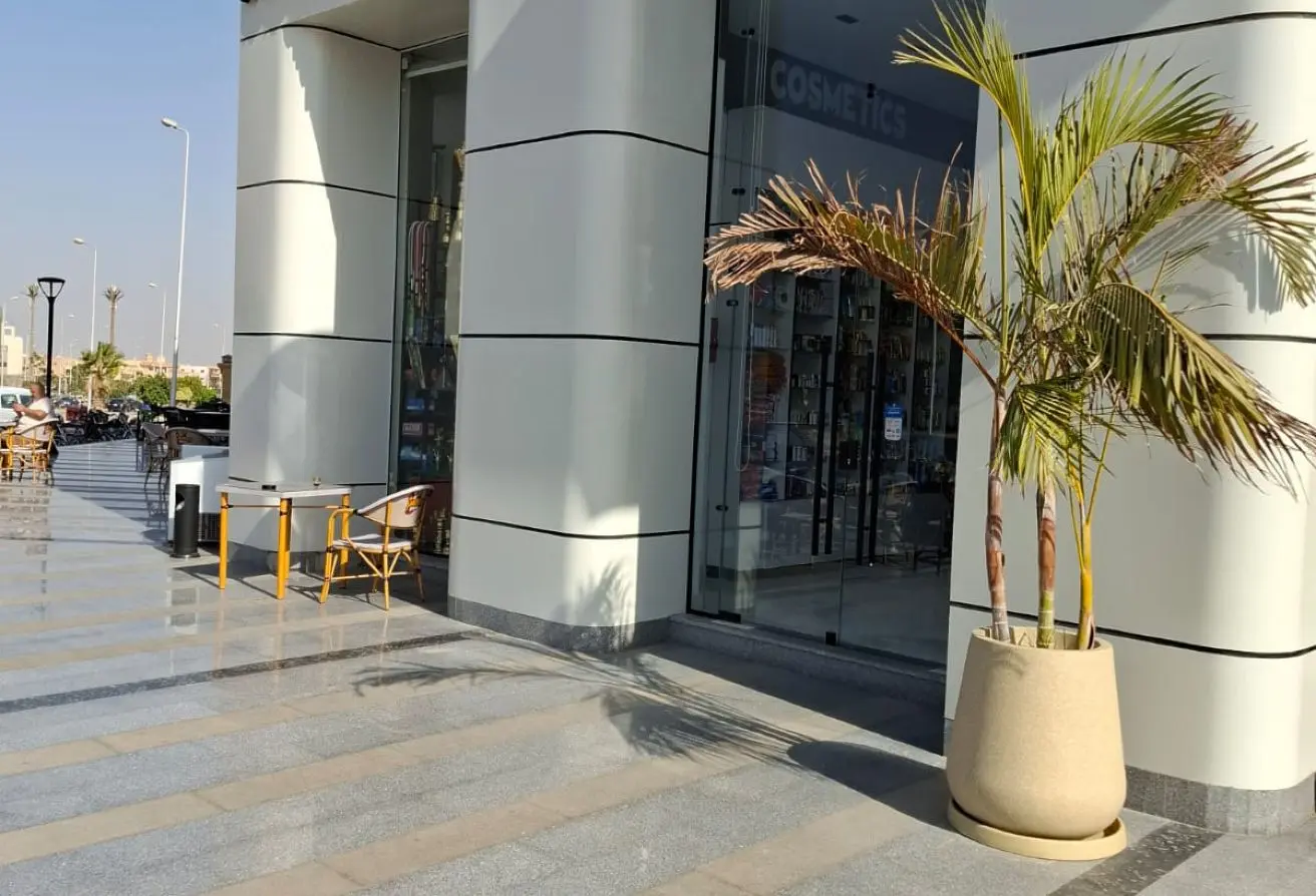 98008161 - Property Main Image