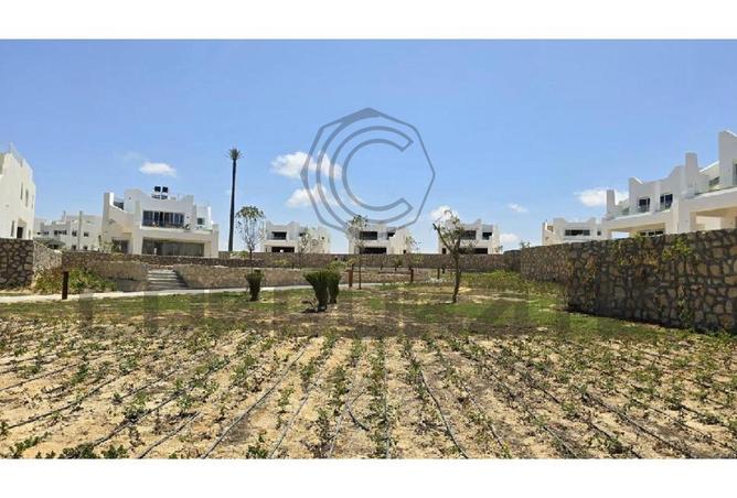 99107149 - صورة العقار 2
