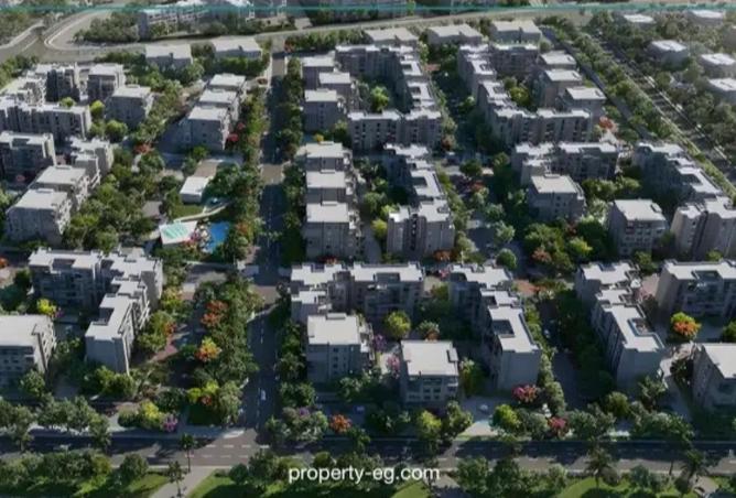 53466741 - Property Image 2