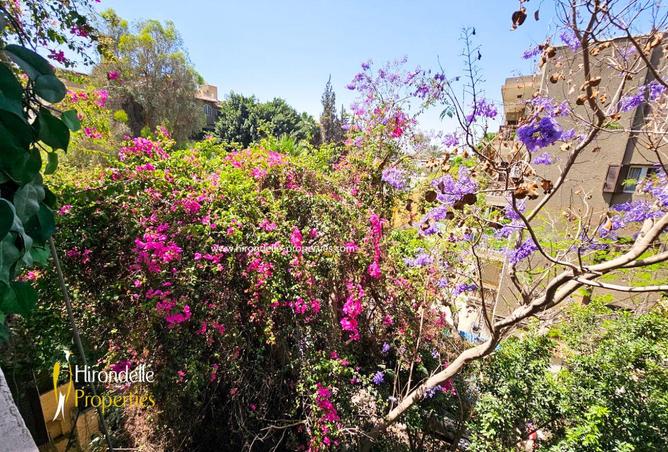 69304526 - صورة العقار 2