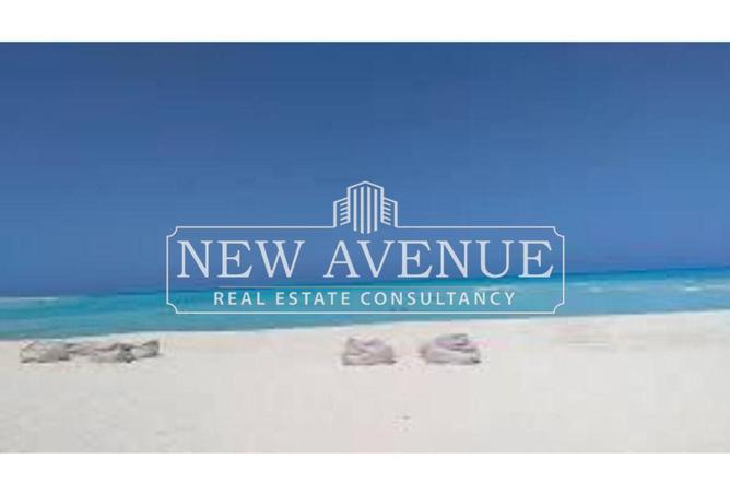 65668366 - Property Image 3