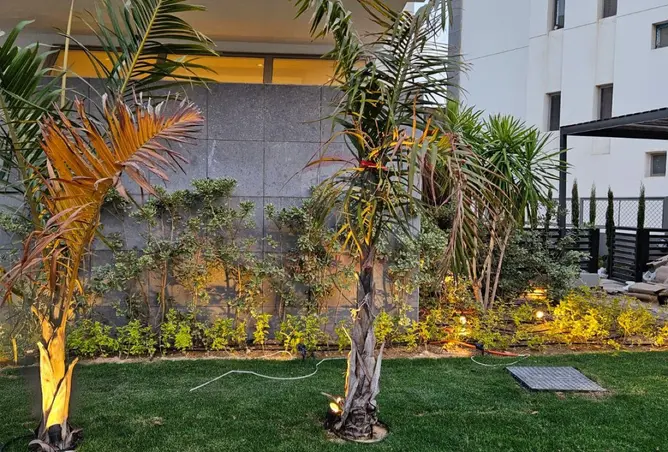117023958 - Property Image 2