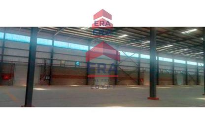 Warehouse - Studio - 3 Bathrooms for rent in Abou Rawash - Cairo