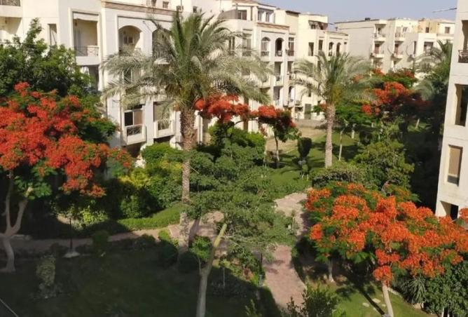 70103201 - صورة العقار 3