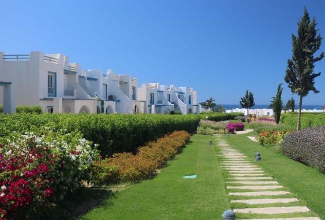 67733687 - صورة العقار 3