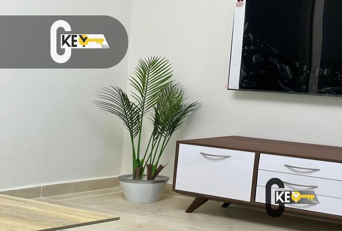 66697778 - صورة العقار 2