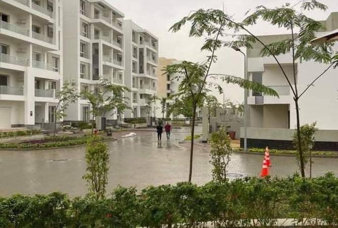 64901884 - صورة العقار 2