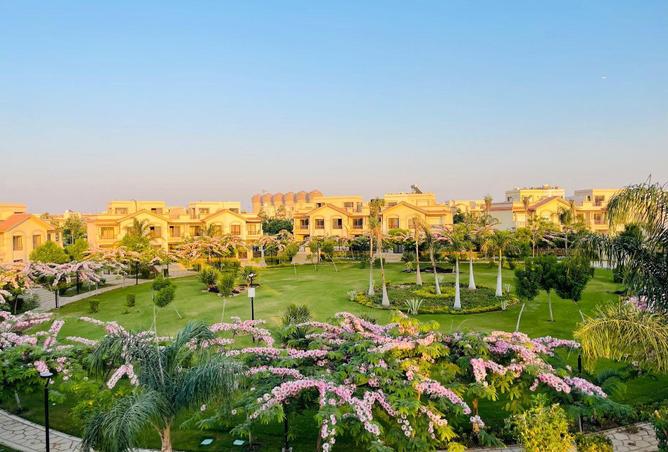 71393312 - صورة العقار 2