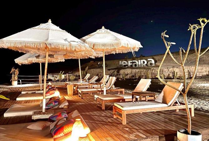 55254644 - Property Image 2