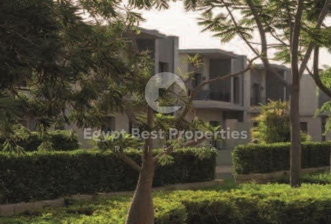 56001810 - Property Image 3