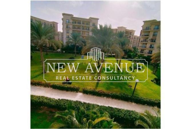 51158996 - صورة العقار 2