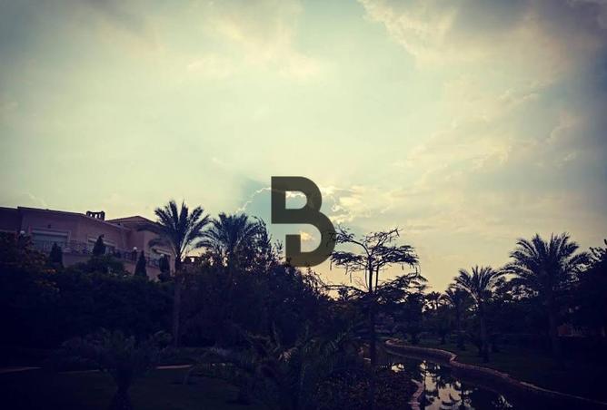 73768522 - صورة العقار 3