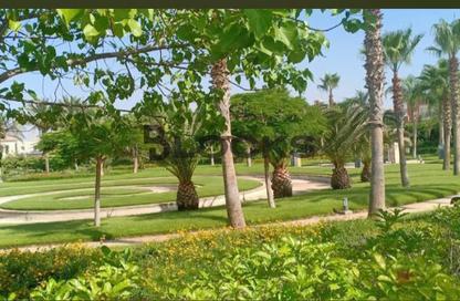 Villa - 4 Bedrooms - 4 Bathrooms for sale in Swan Lake West - 6 October Compounds - 6 October City - Giza Villa - 4 Bedrooms - 4 Bathrooms for sale in Swan Lake West - 6 October Compounds - 6 October City - Giza