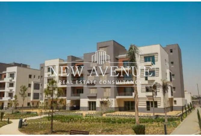 66952812 - صورة العقار 2