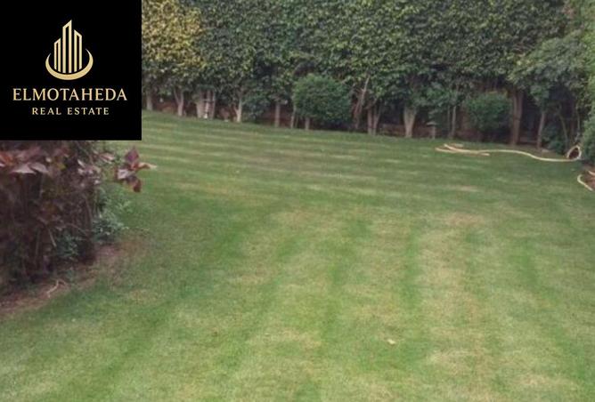 59234242 - Property Image 2