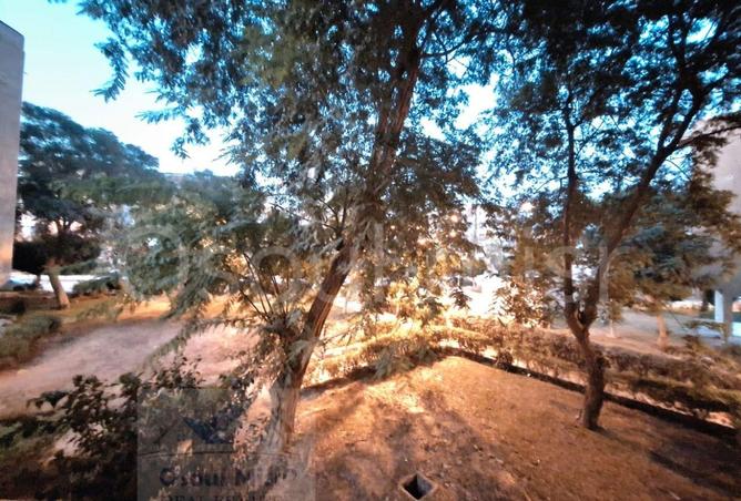 67734854 - Property Image 3