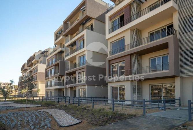 8581229 - Property Image 3