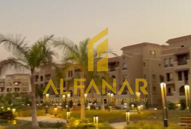 8690372 - Property Image 3