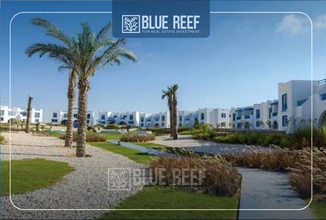 67735366 - صورة العقار 3