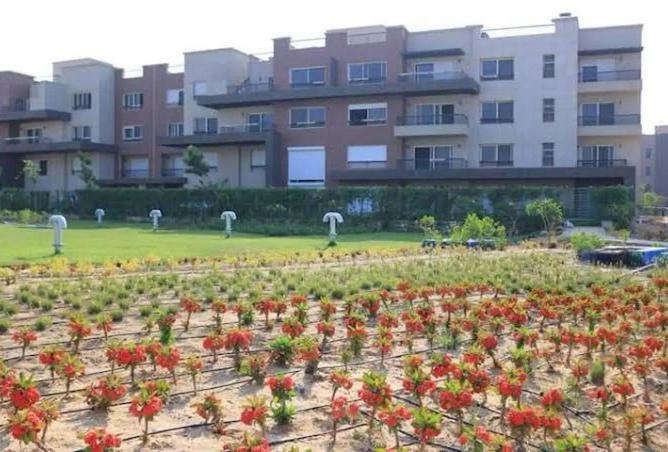 63389434 - صورة العقار 3