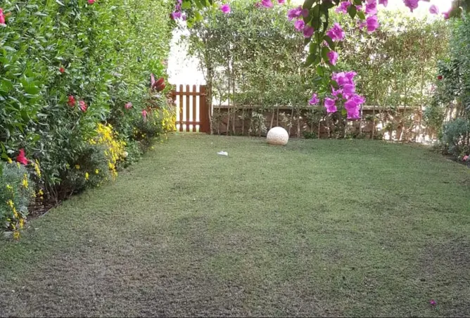 109632954 - صورة العقار 3
