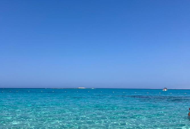 108778284 - صورة العقار 2