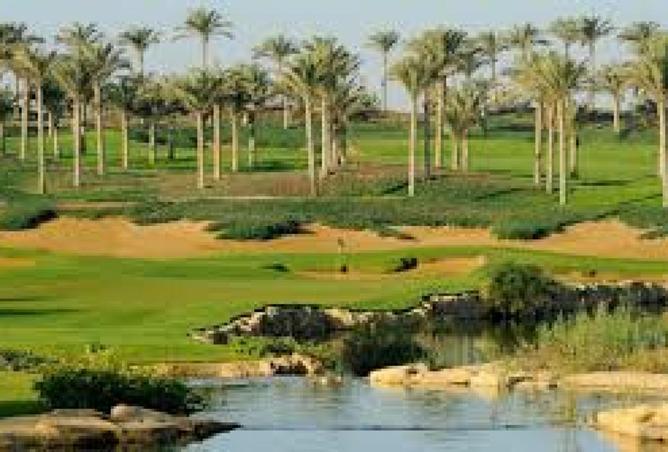 8567630 - صورة العقار 3