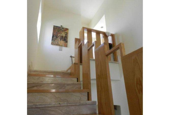 55501648 - Property Image 3