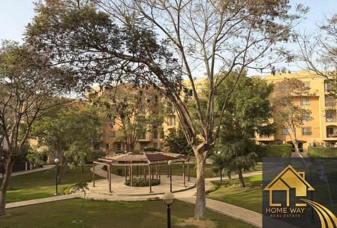 66703331 - صورة العقار 3