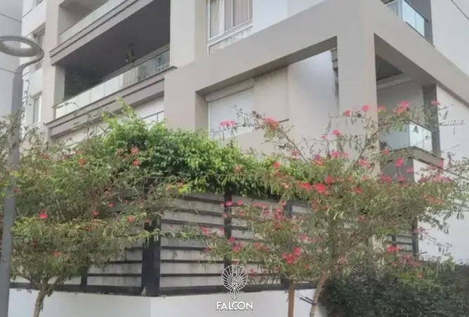 120875755 - Property Image 3