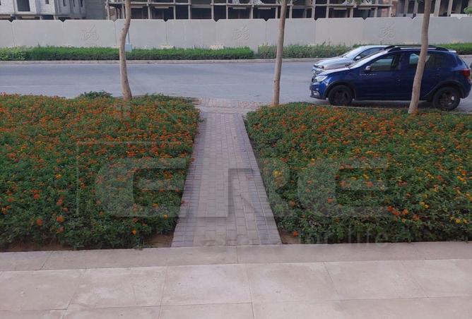 99397313 - Property Image 3