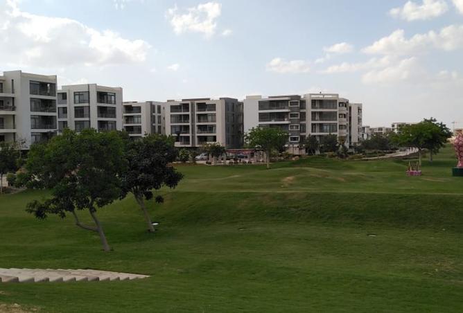99809583 - صورة العقار 3