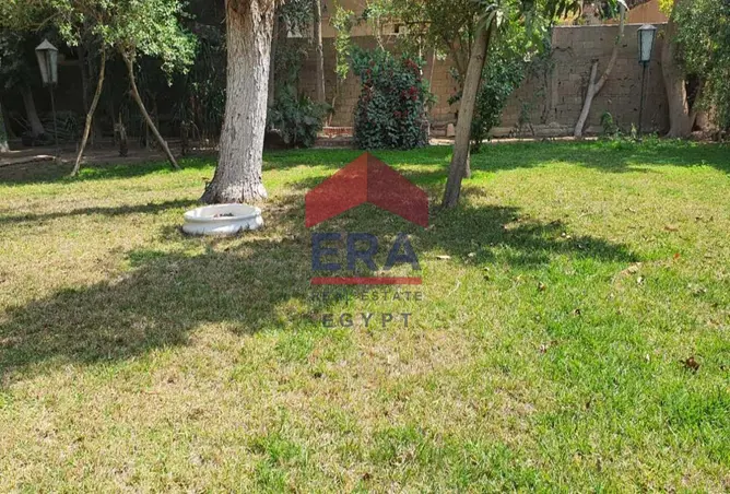 114613404 - صورة العقار 3