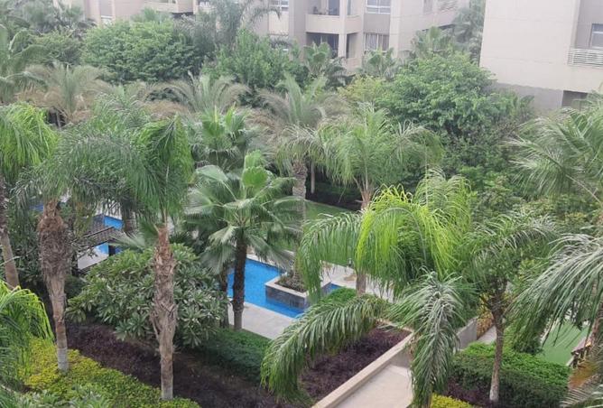 53723860 - Property Image 2