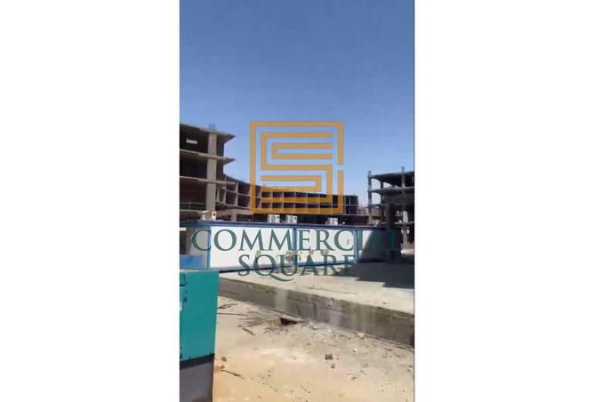 99113039 - Property Image 3