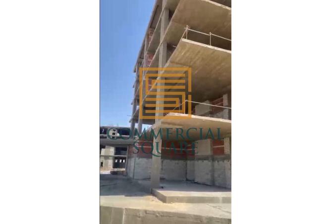 99113039 - Property Image 2