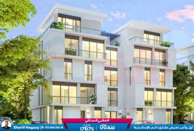 8435838 - صورة العقار 3